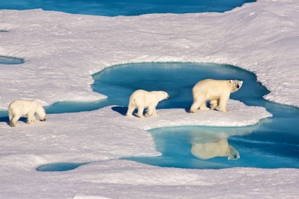 什么时候去北极