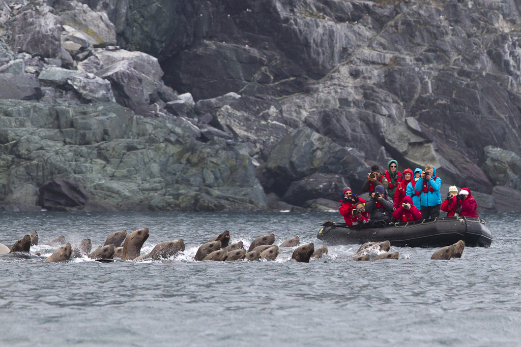 Russian Arctic Cruises