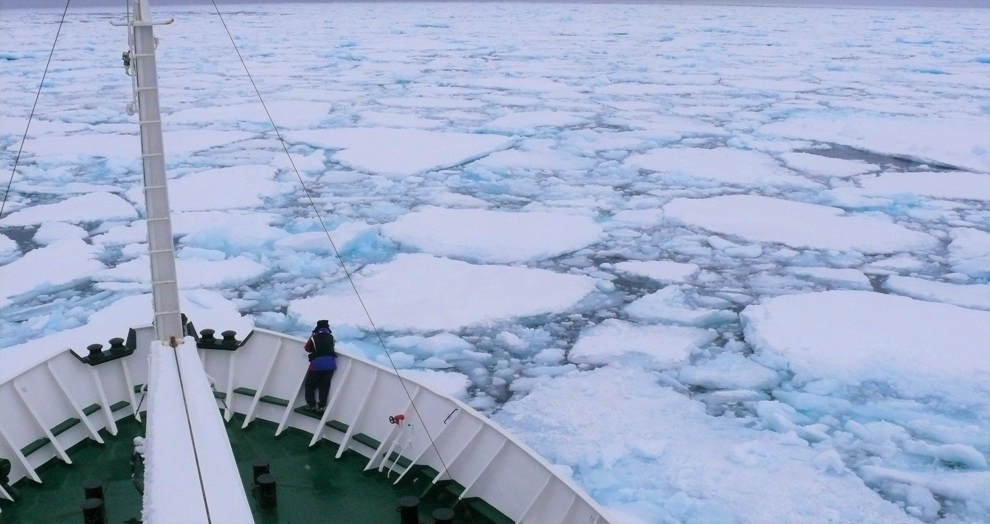 cruise ship stuck in greenland