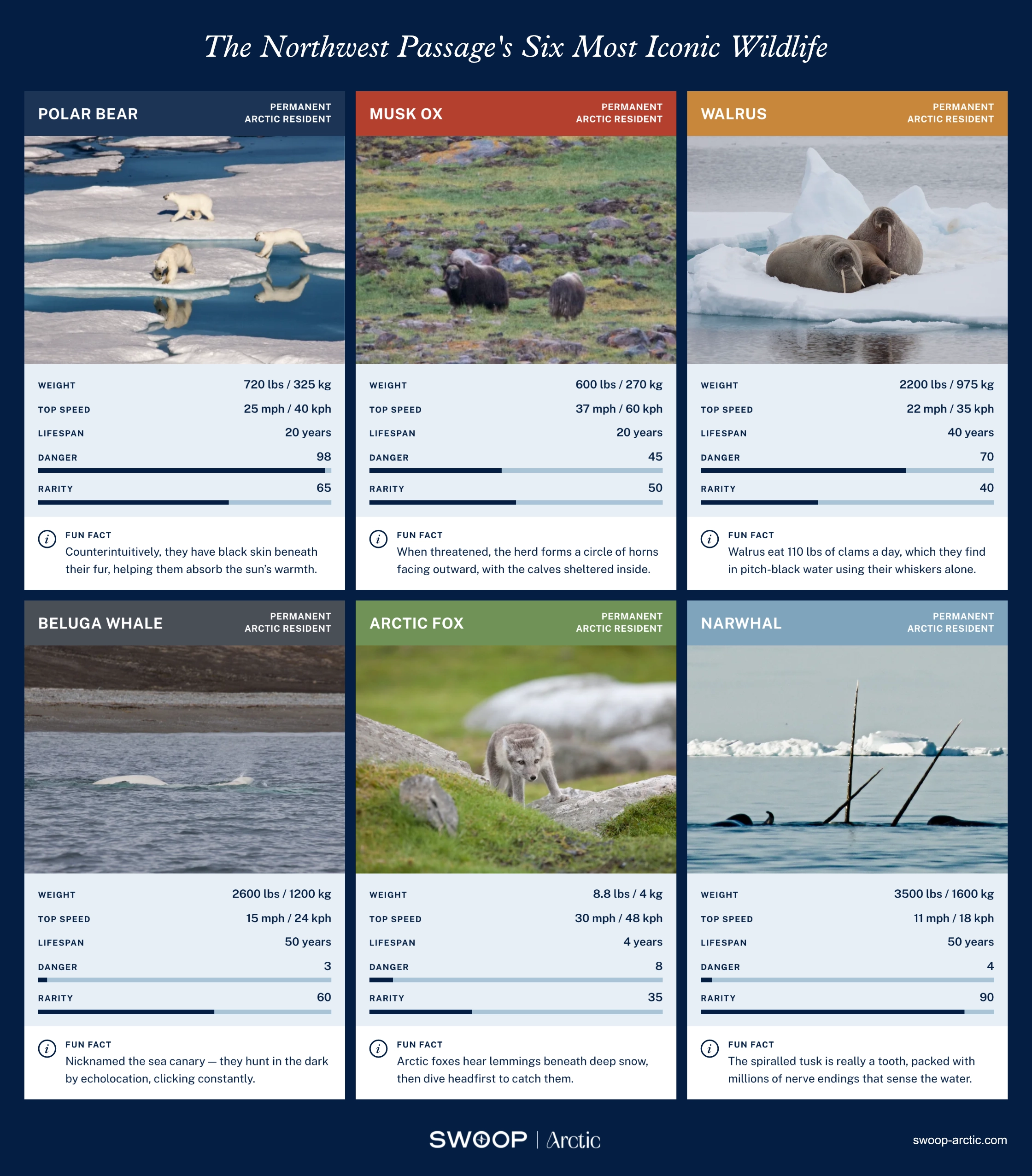 Northwest Passage Wildlife