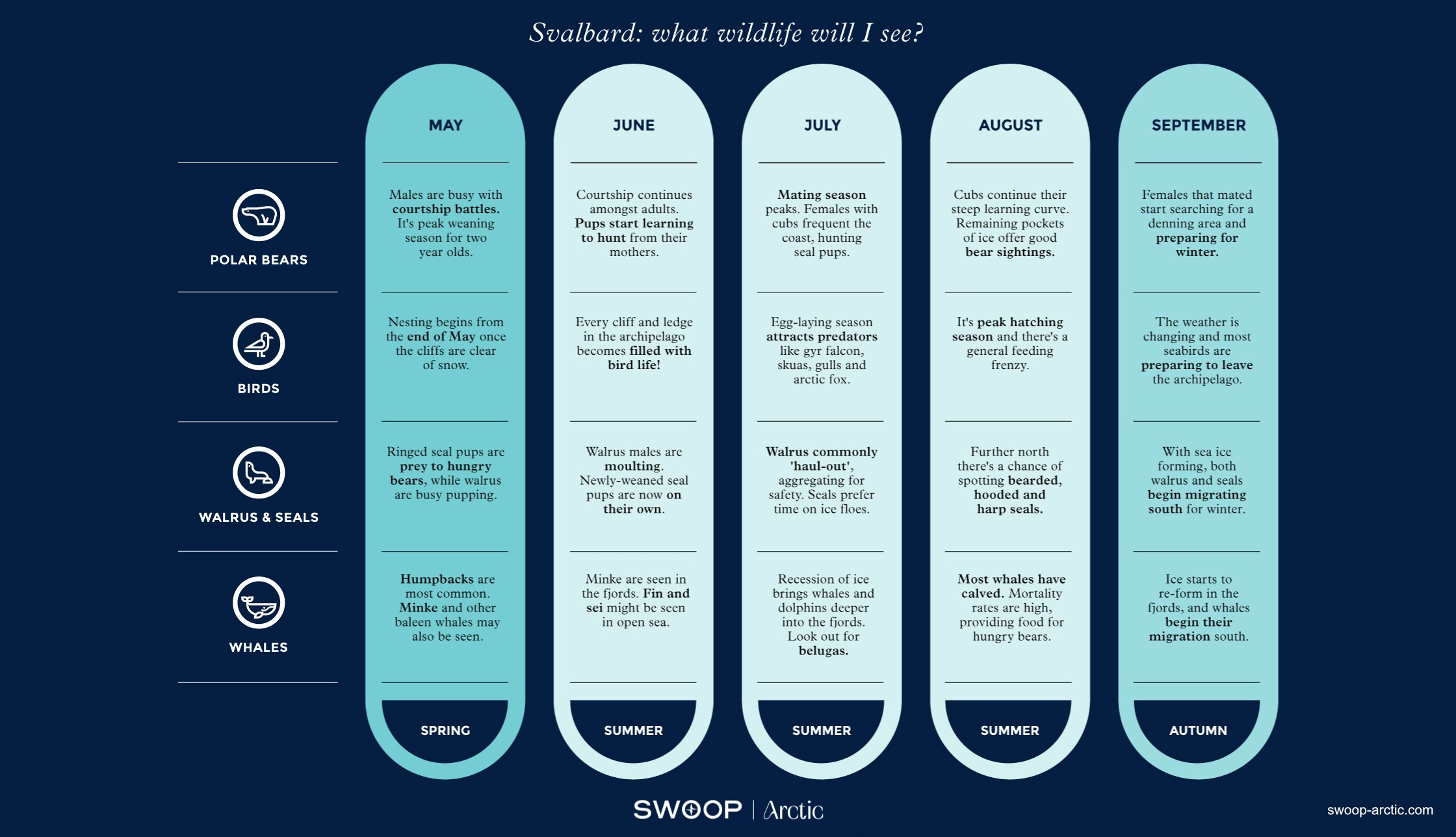 When to visit Svalbard