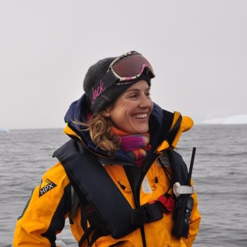 Swoop Arctic Expert Loli