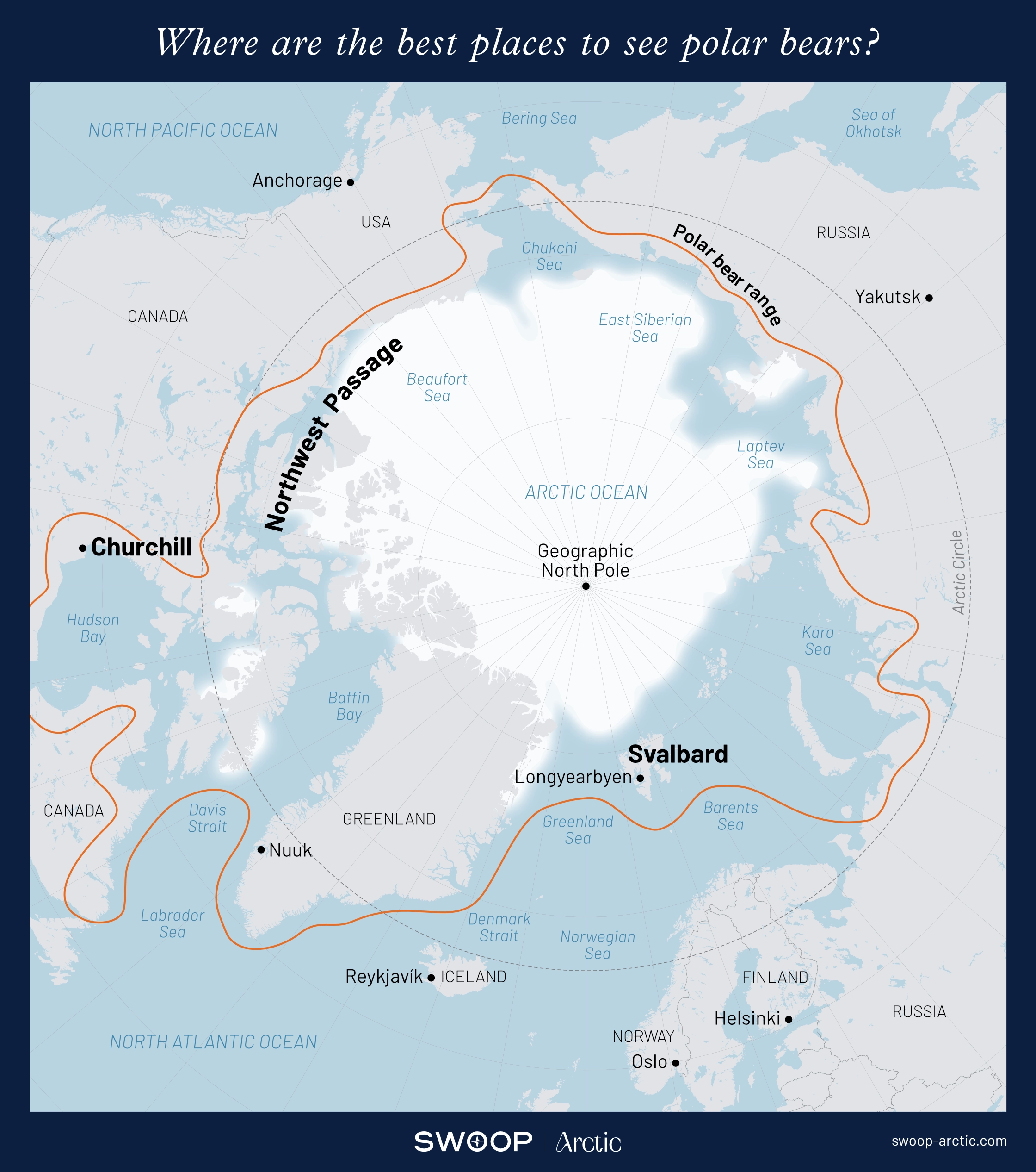 Polar Bear Tours
